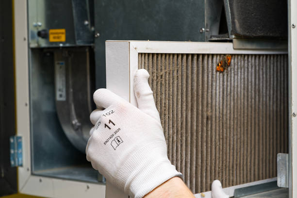 Best Emergency Air Duct Cleaning  in Mp Pendleton South, CA